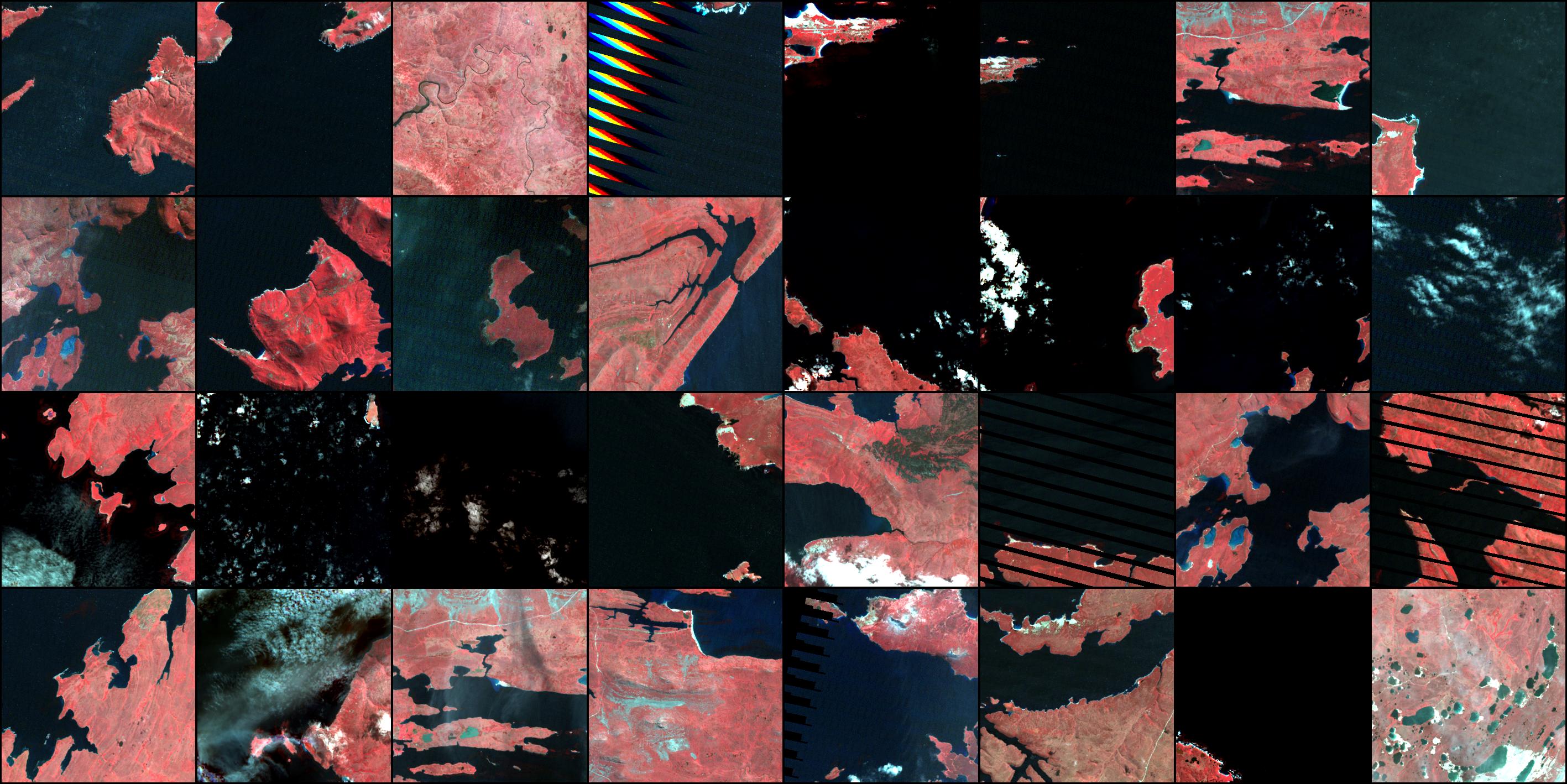 color_infrared_batch_idx=2_epoch=00_step=0320.jpg