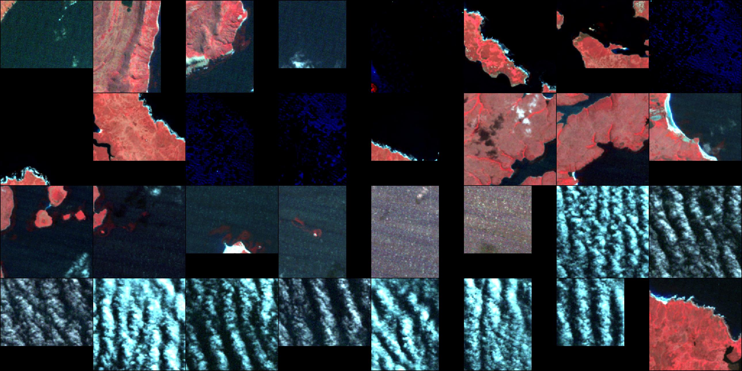 color_infrared_batch_idx=1_epoch=00_step=0320.jpg