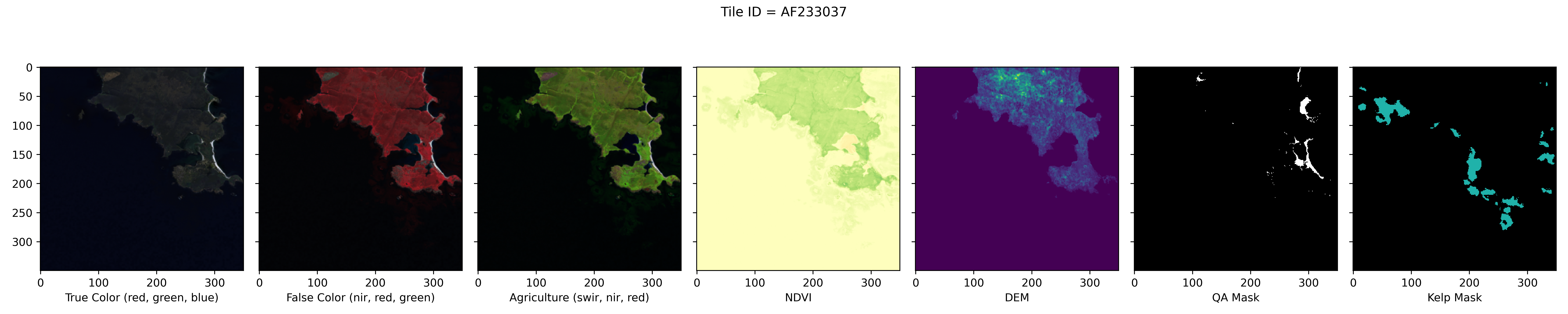 AF233037_plot